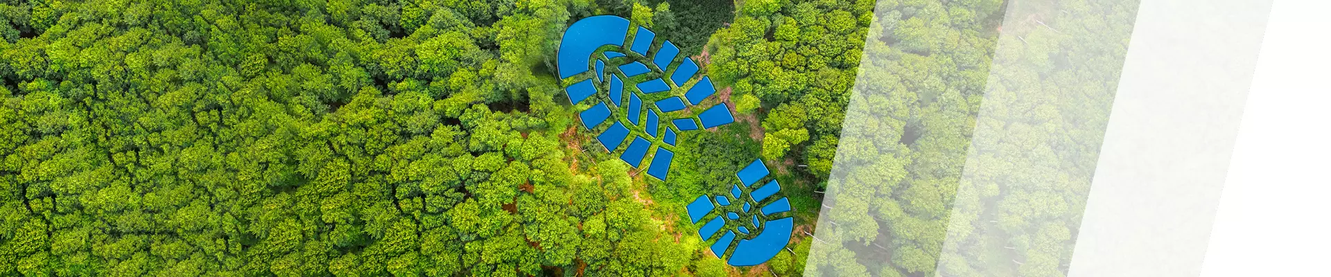 Regenwald von oben mit stilisiertem Fußabdruck als See